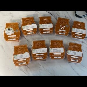 10 Saddle Up Scentsy Bars